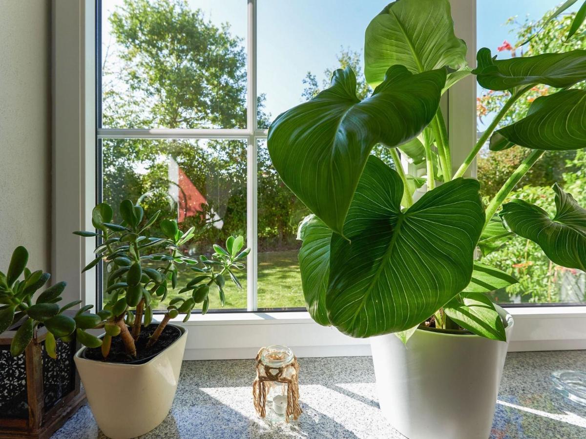 Nice Flat With Sauna Covered Terrace Garden And Tree House For Children Zandt Exterior foto
